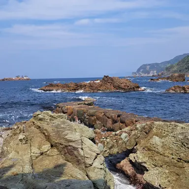 Profile image of 佐野勇斗