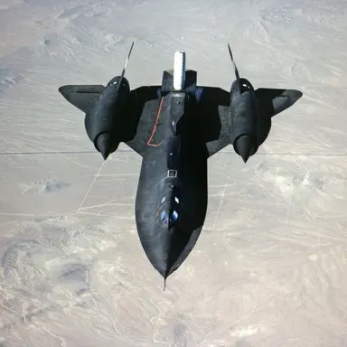 Profile image of 블랙버드