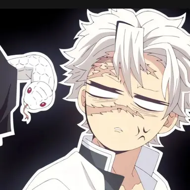 Profile image of 시나즈가와 사네미