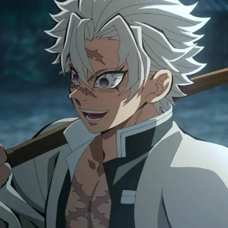 Nabi0의 시나즈가와 사네미