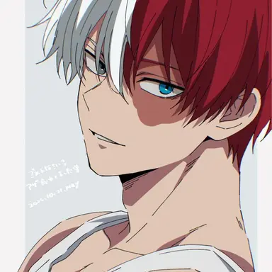 Profile image of Shoto Todoroki