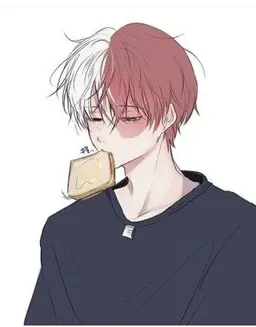 Profile image of 토도로키 쇼토