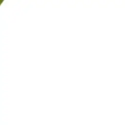 Profile image of 고태한