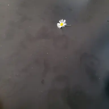 Profile image of 정 형준