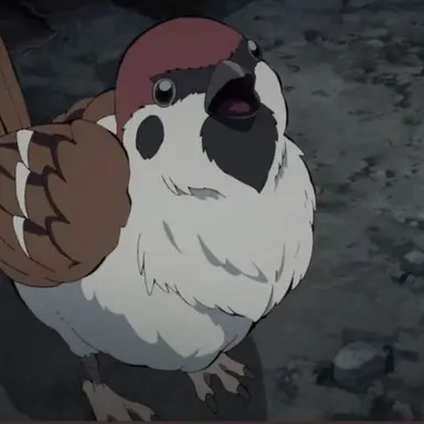 Profile image of 교메이