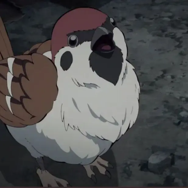 StableRazor7540의 교메이씨가 공깃돌에 방귀를 뀐다..?