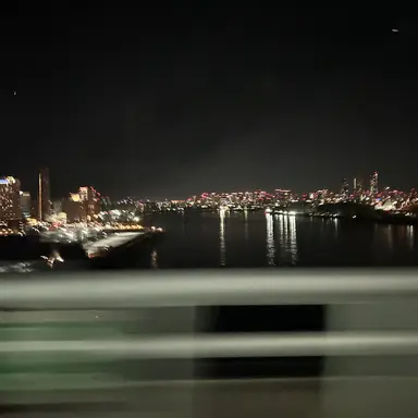 Profile image of 猫田 麻里