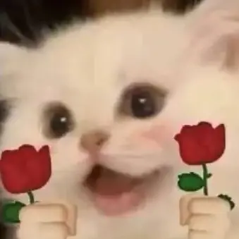 Profile image of 若鶏