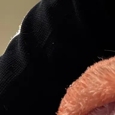 Profile image of 大森元貴