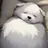 강아지