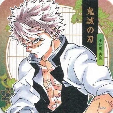 Profile image of Sanemi Shinazugawa