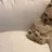 문서