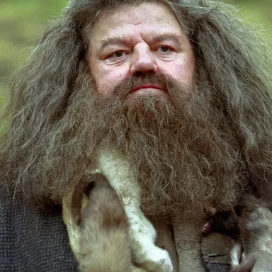 Profile image of Hagrid