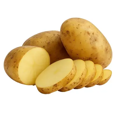 Profile image of 키타 유우신.