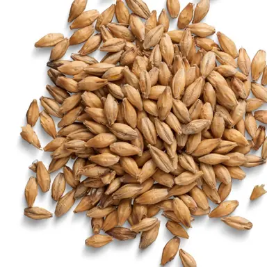 Profile image of 키타 하루토.