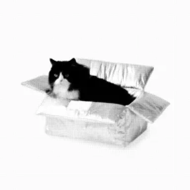 Profile image of 고현승