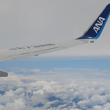 Profile image of お米食べた