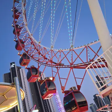 Profile image of 모찌엘