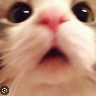 Profile image of 아름