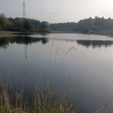 Profile image of スキビティトイレ