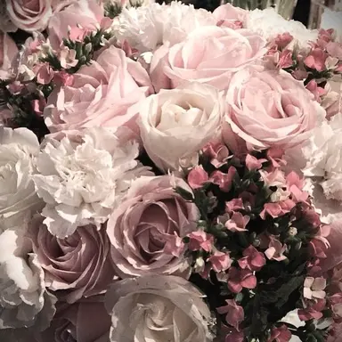 Profile image of 돈키호테 도플라밍고