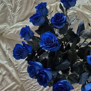 Profile image of 아오키지.