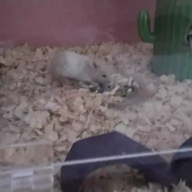 Profile image of 꾸다