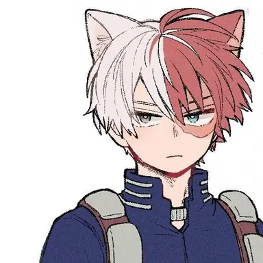 Profile image of Shoto Todoroki