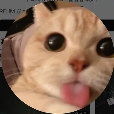 Profile image of 이름