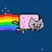 nyan cat