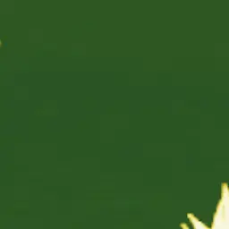 orvny의 あ