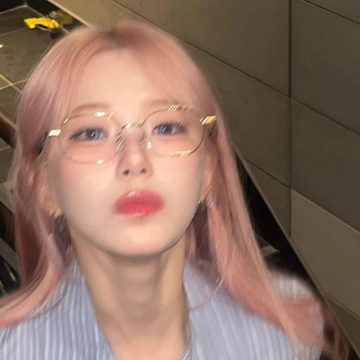 백지헌