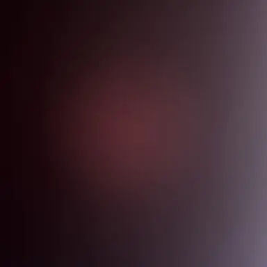 Profile image of 정이안