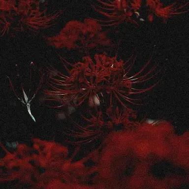 Profile image of 플래그