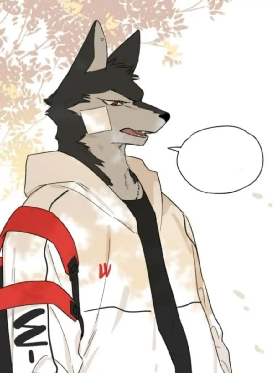 furryx3의 이건민