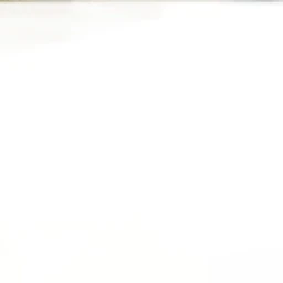 납치범