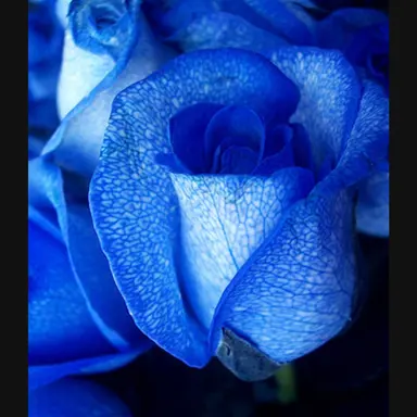 Profile image of 잭