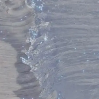 Profile image of 수현