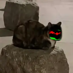 Profile image of いちかけ