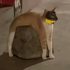 Profile image of まふぃおそ