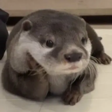 Profile image of ちゃに