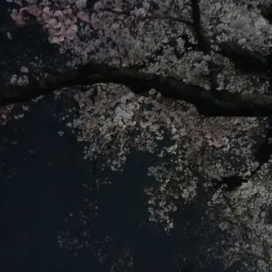 Profile image of 廉