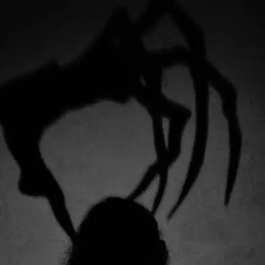 Profile image of Hush