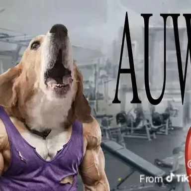 Profile image of Trainer