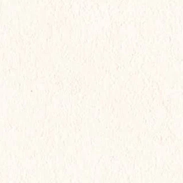 大森元貴
