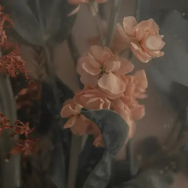 Profile image of 밥풀