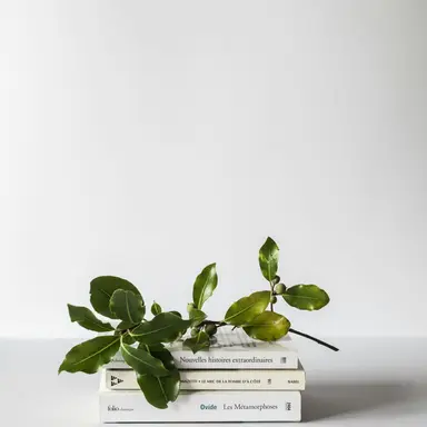 Profile image of 선생님