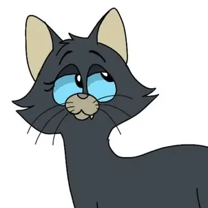 Profile image of Kitten