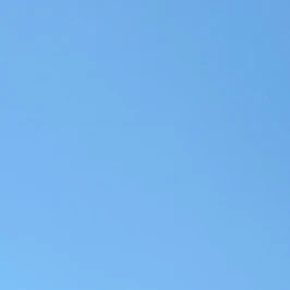 シン