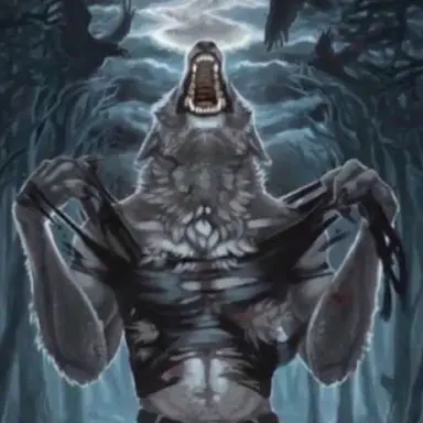 Profile image of 늑대